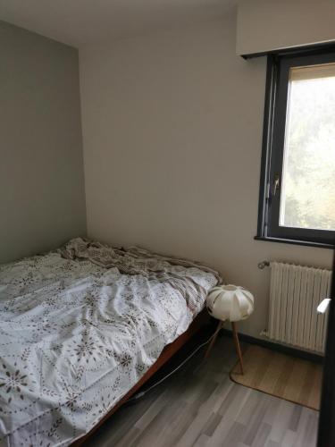 Appartement Torgon