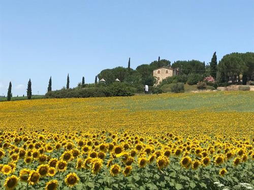 Il vecchio seccatoio - Agello