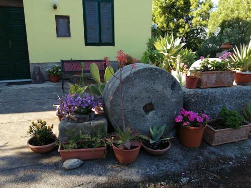 Belvedere 3 in Villa Greco gîte à louer La Scala