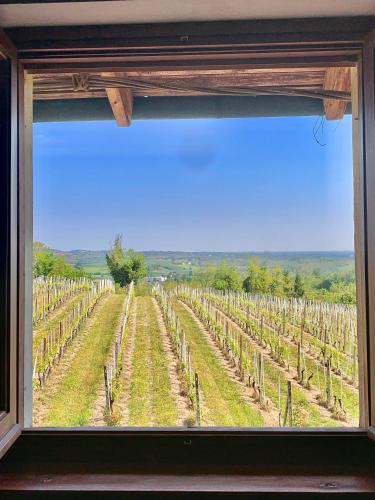 Cascina Alberta in Vignale Monferrato
