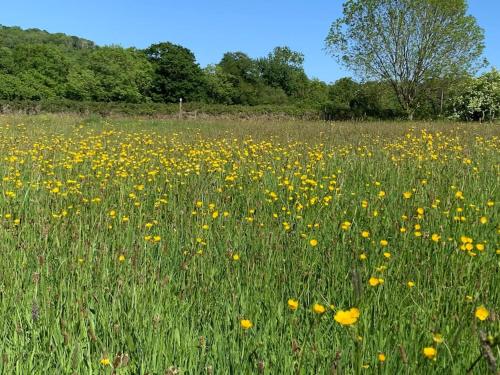 Stunning Country Farm House between Bristol & Bath