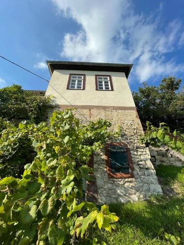 B&B Freyburg - Ferienhaus Traminer im Weinberg - Bed and Breakfast Freyburg