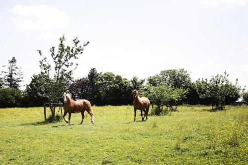 The Pole Barn - Stunning, High Spec Barn Conversion