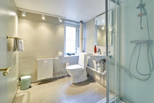 Stylish Apartment with Balcony in the heart of Copenhagen - image 12