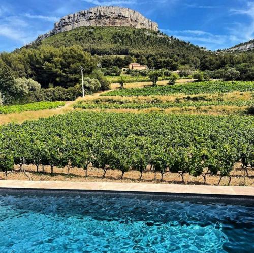 Côté vignes cassis Côté vignes cassis