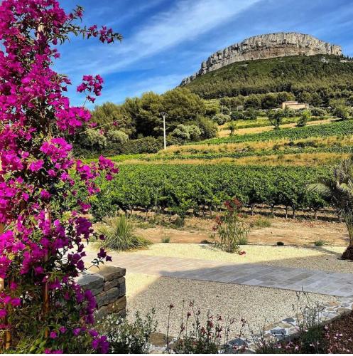 Côté vignes cassis Côté vignes cassis