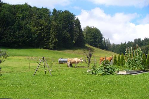 Ferienwohnungen Wanderparadies