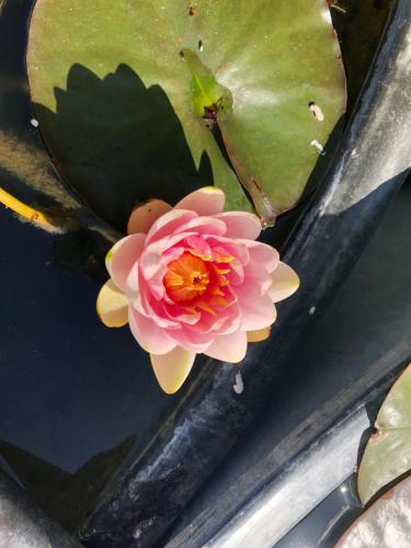 Les Jardins des Soussilanges