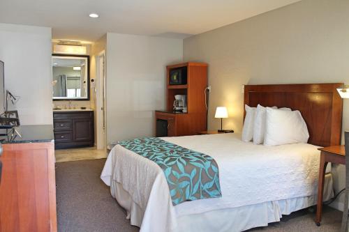 Bell & Main Alamosa Studio Suite-Walking distance to downtown