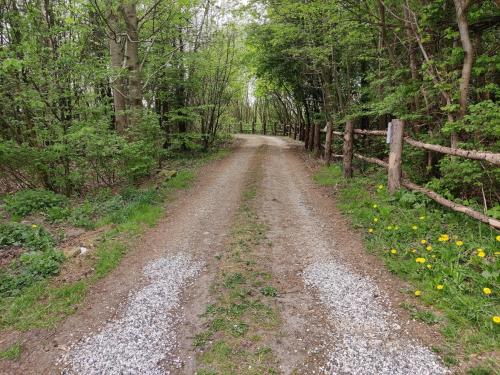 สภาพแวดล้อมโดยรอบ, Storm's stay - Near MCH & BOXEN in เฮแนง