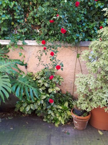 Tra Gianicolo e Trastevere – Rome