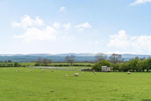 Cross Fell View