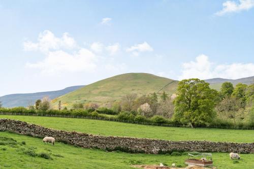 Cross Fell View