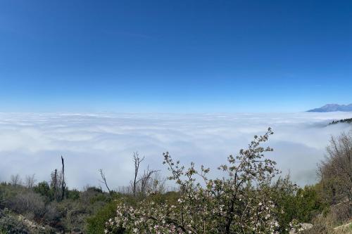 Million Dollar Mountain View Million Dollar Mountain View