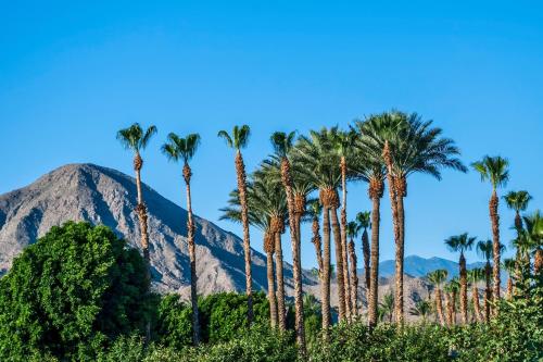 Oakmount Escape in Desert Hot Springs, USA