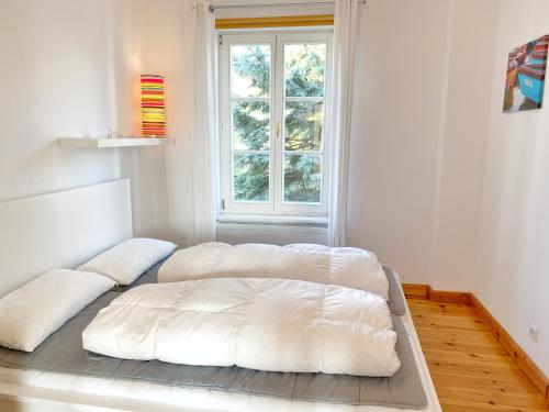 Sassnitz - Seaside Appartements Seaside Appartements, Yellow, Sassnitz (fotografie 4)