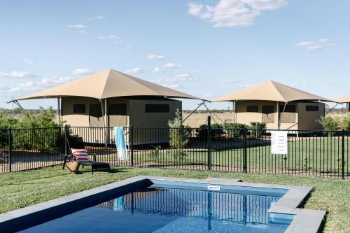 الأنشطة, Mitchell Grass Retreat in Longreach