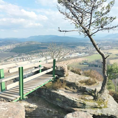 A környék, v i o l e t t e La souris des champs in Raon-l'Etape