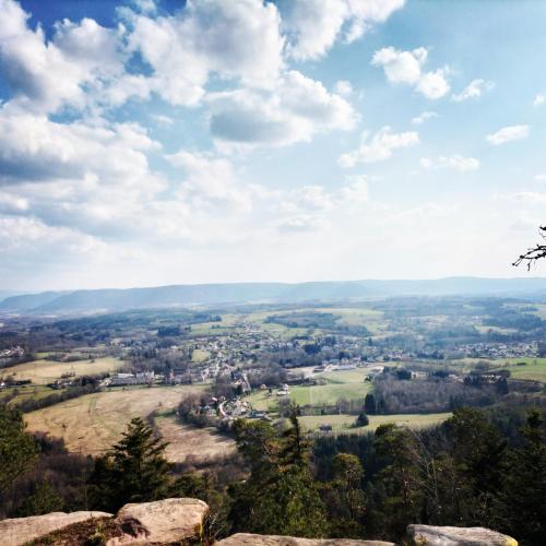 A környék, v i o l e t t e La souris des champs in Raon-l'Etape