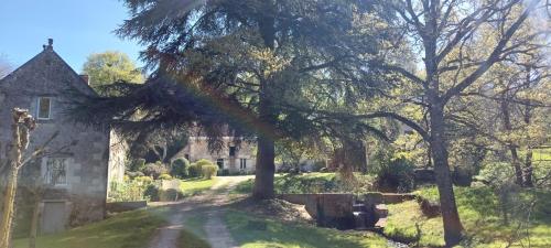 Le moulin du Mesnil - Chambre d'hôtes - Saint-Georges-sur-Cher