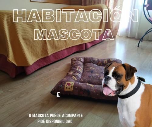 Habitación 2 camas