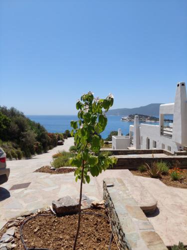 SkiNAmmos Eco Villas in มาร์มารี