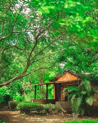 Nature's Nest Eco Resort Goa, Near Dudhsagar Waterfalls