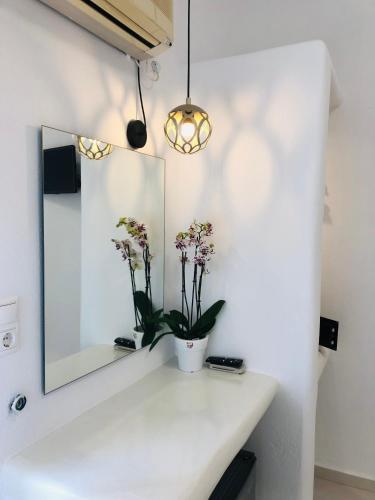  Taki's Guests in Naxos Chora