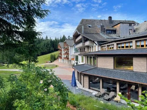 Hotel Schöne Aussicht Schwarzwald in Niederwasser, Deutschland