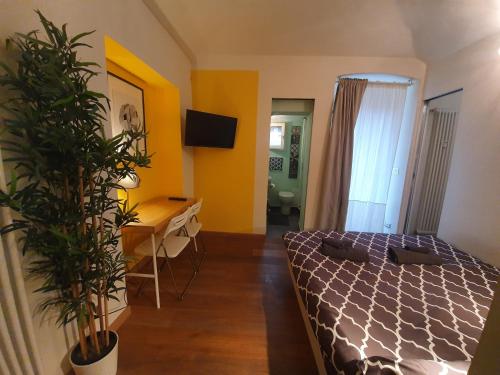 Casa Carlino, Turín (fotografie 9)