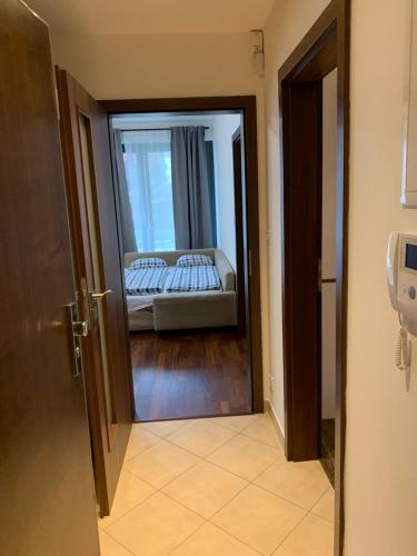 Deluxe Apartment image 10