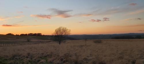Cellan shepherds hut gîte à louer Cellan