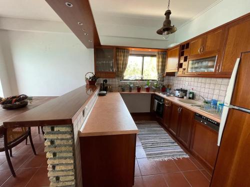 廚房, Stunning Beachfront Apartment Strátos (Stunning Beachfront Apartment Stratos) in 內蘭札