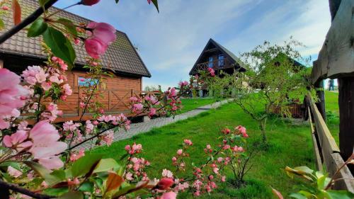 Cichosza Miłomłyn - Accommodation