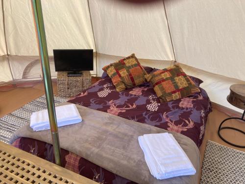 Roslin Glamping in Roslin