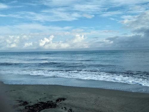 Un Nid Douillet en bord de plage !!