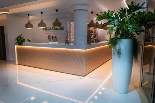 Caribe Resort & Spa - Hotel - Spigno Saturnia