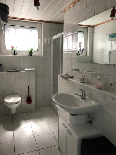 Ferienwohnung Braun in Hinterweidenthal, Deutschland