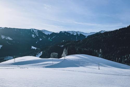 Kilátás, Appartement Adamhof Spielberg Leogang in Berg