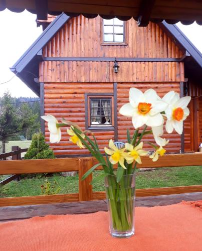 Brvnare Na Brdu - Accommodation - Šljivovica