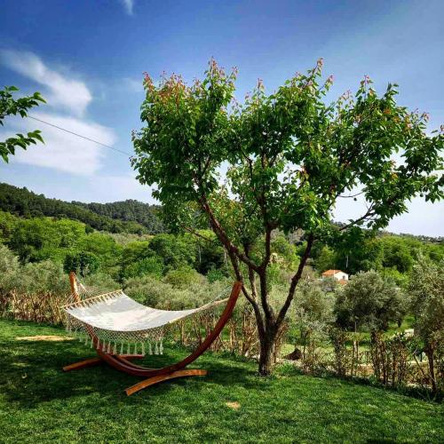  Anemi Deluxe Apartment in Kolios