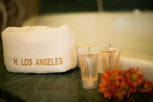 Los Angeles Hotel & Spa