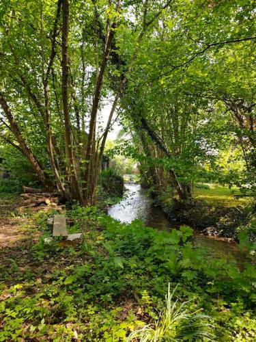 Le Calme à la source - Condé-sur-Vesgre