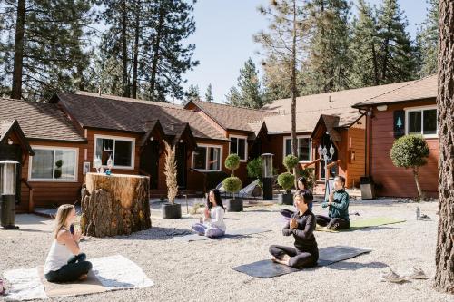Grand Pine Cabins - Accommodation - Wrightwood