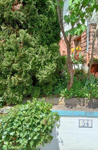 Indgang, Casa la Collina delle Ginestre in Eberbach