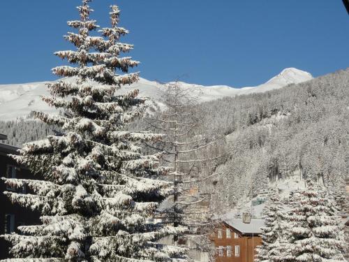 Studio Riedwiese, Davos (foto 10)