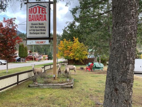 Accommodation in Radium Hot Springs