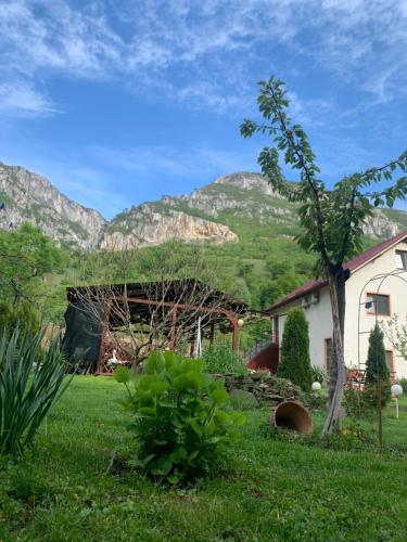 Pension RouaDeMunte - image 5