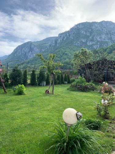 Pension RouaDeMunte - image 10