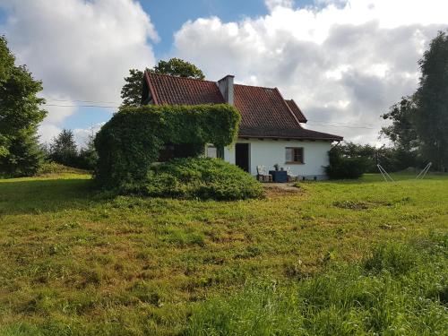 B&B Miłomłyn - Domek letniskowy na Mazurach - Bed and Breakfast Miłomłyn